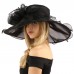 Fancy Diamond Netting Kentucky Derby Floppy Ruffle Wide 7" Dress Church Hat  eb-61661364